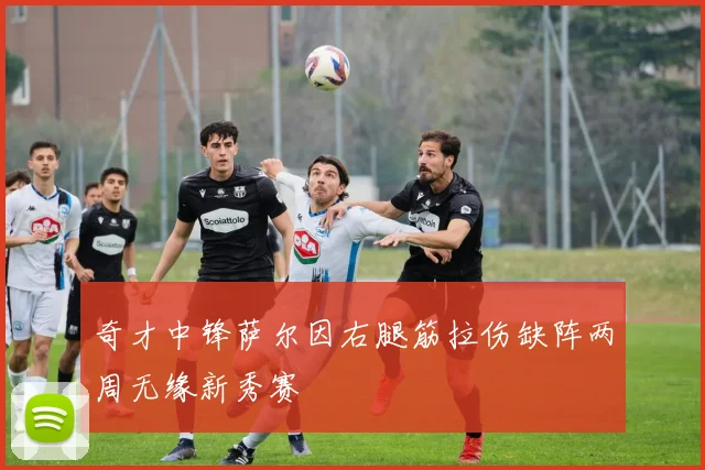 奇才中锋萨尔因右腿筋拉伤缺阵两周无缘新秀赛