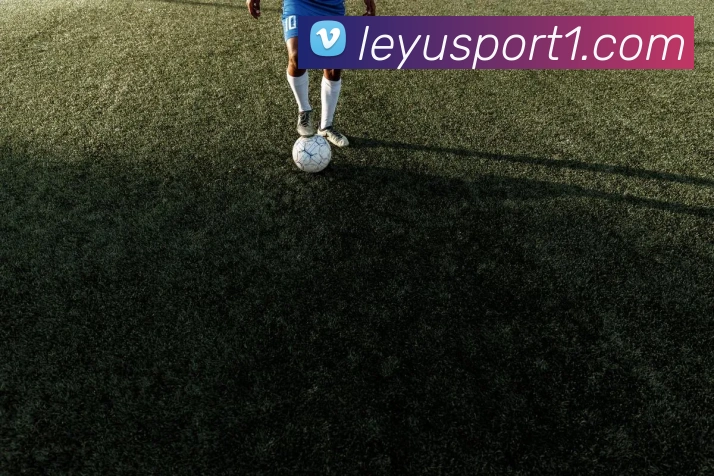 App Interface Preview