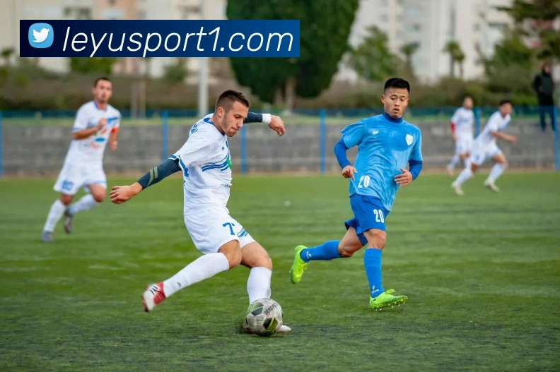 数据防护可视化